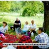 12 magyardemokrfuben